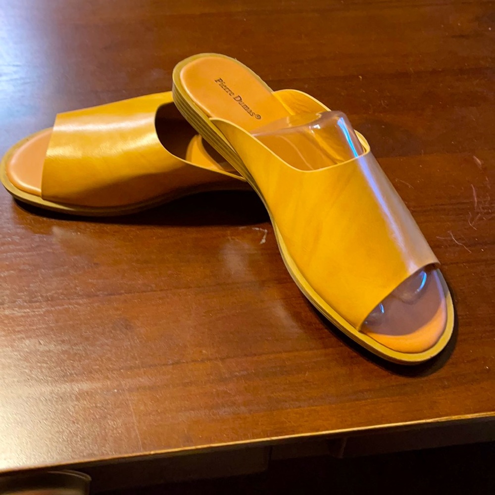 Pierre Dumas Slide